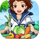 高云体育app