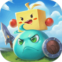 vns888