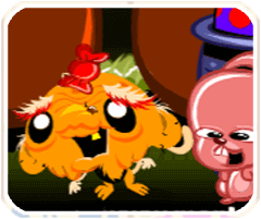 牛牛头条官方版下载