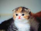 最新娱乐登陆