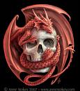 风彩app下载