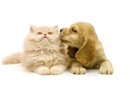 新遇平台下载官网